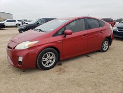 Salvage cars for sale at Amarillo, TX auction: 2010 Toyota Prius