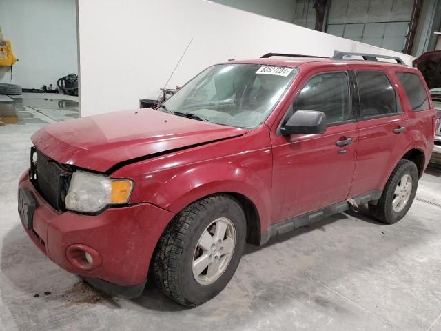 2011 Ford Escape XLT