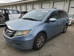 Vehiculos salvage en venta de Copart Louisville, KY: 2014 Honda Odyssey EXL