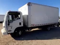 Salvage trucks for sale at Colton, CA auction: 2009 Isuzu NPR