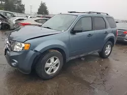 Salvage cars for sale at Moraine, OH auction: 2010 Ford Escape XLT