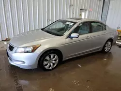 Honda Accord exl salvage cars for sale: 2008 Honda Accord EXL