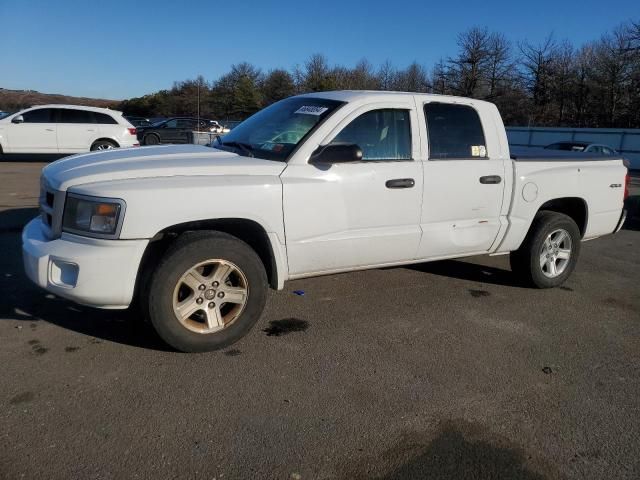 2011 Dodge Dakota SLT