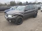 2005 Mercury Mariner