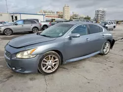 Salvage cars for sale at New Orleans, LA auction: 2010 Nissan Maxima S