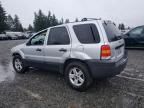 2006 Ford Escape HEV