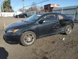 Scion salvage cars for sale: 2009 Scion TC