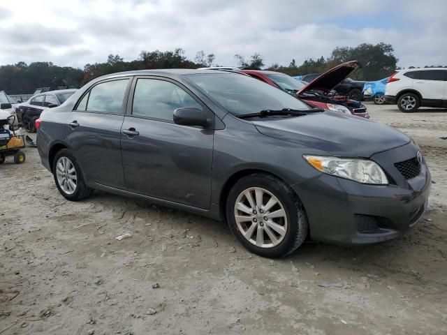 2009 Toyota Corolla Base