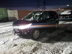 Salvage cars for sale at Elgin, IL auction: 2015 Honda CR-V EXL