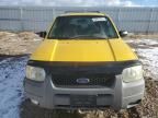 2001 Ford Escape XLT