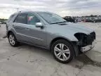 2010 Mercedes-Benz ML 350