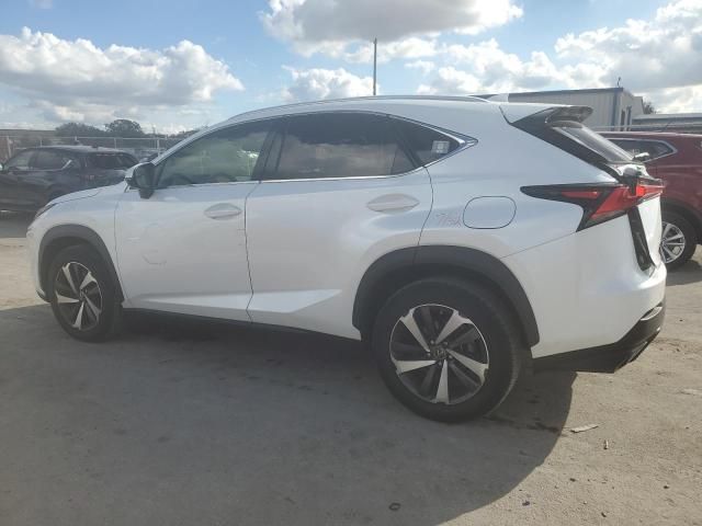 2019 Lexus NX 300 Base