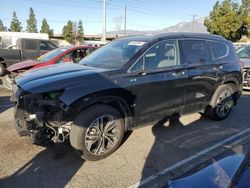 Hyundai Santa fe salvage cars for sale: 2019 Hyundai Santa FE Limited