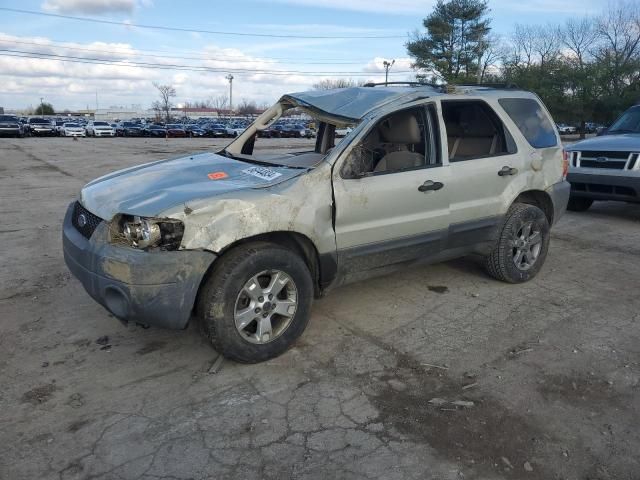 2005 Ford Escape XLT