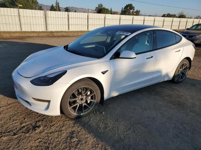 2021 Tesla Model 3