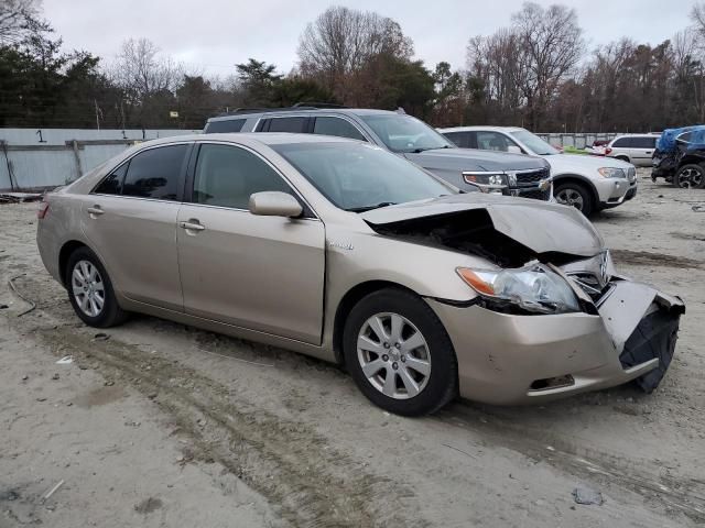 2009 Toyota Camry Hybrid