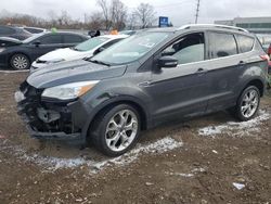 Ford Escape salvage cars for sale: 2016 Ford Escape Titanium