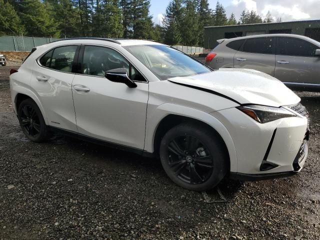 2021 Lexus UX 250H