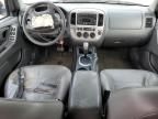 2006 Ford Escape XLT