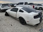 2013 Ford Mustang Shelby GT500