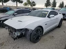 Salvage cars for sale at Rancho Cucamonga, CA auction: 2019 Ford Mustang GT