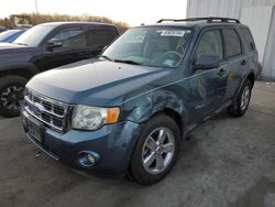 Salvage cars for sale from Copart Windsor, NJ: 2011 Ford Escape XLT