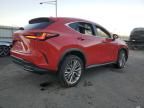 2024 Lexus NX 350 Luxury