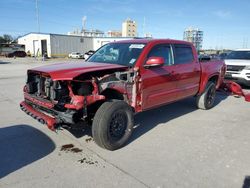 Salvage cars for sale at auction: 2021 Toyota Tacoma Double Cab