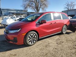 Salvage cars for sale at Albuquerque, NM auction: 2025 Honda Odyssey EXL