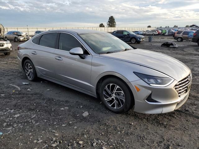 2020 Hyundai Sonata Hybrid