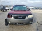 2005 Ford Escape XLT