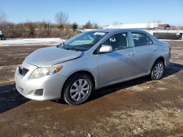 2010 Toyota Corolla Base