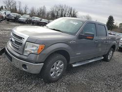 Salvage Cars with No Bids Yet For Sale at auction: 2014 Ford F150 Supercrew