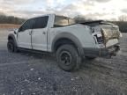 2017 Ford F150 Raptor