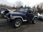 1999 Jeep Wrangler / TJ Sport