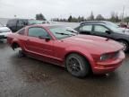 2005 Ford Mustang