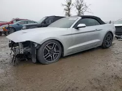 Salvage cars for sale at San Martin, CA auction: 2019 Ford Mustang