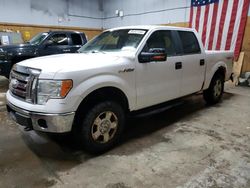 Salvage cars for sale from Copart Kincheloe, MI: 2009 Ford F150 Supercrew