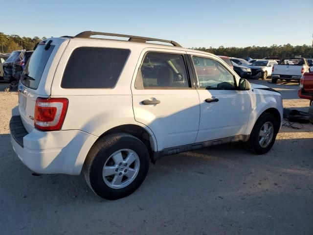 2009 Ford Escape XLT