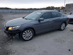 2013 Honda Accord EXL en venta en Fredericksburg, VA