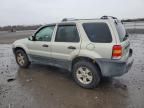 2006 Ford Escape XLT