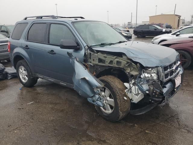 2010 Ford Escape XLT