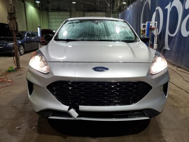 2020 Ford Escape SE Sport