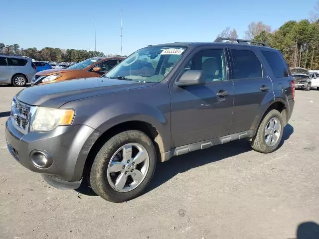 2009 Ford Escape XLT