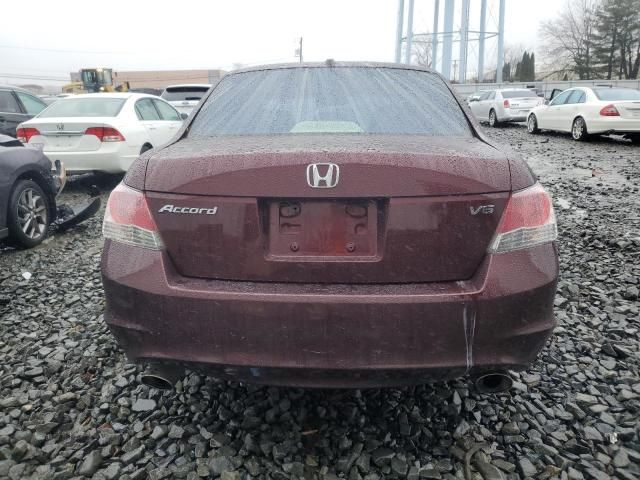 2010 Honda Accord EXL