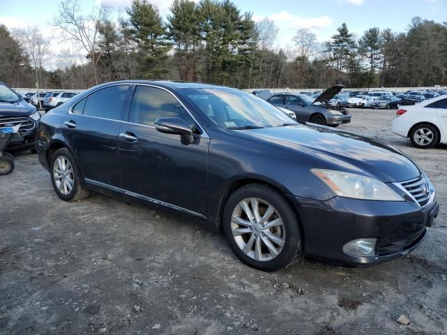 2010 Lexus ES 350