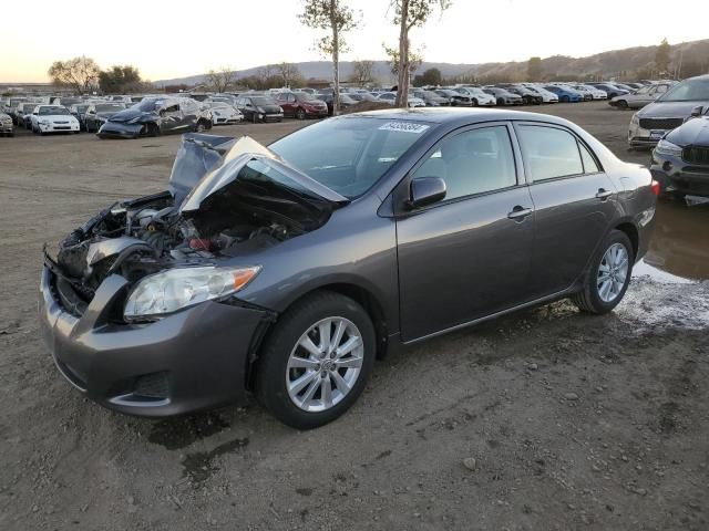 2009 Toyota Corolla Base