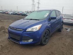 Salvage cars for sale at Elgin, IL auction: 2016 Ford Escape SE