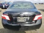 2007 Toyota Camry Hybrid