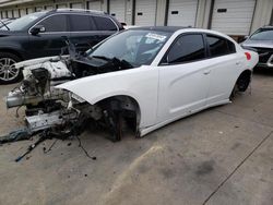 Salvage cars for sale at Louisville, KY auction: 2017 Dodge Charger R/T